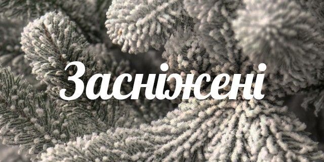 Засніжені